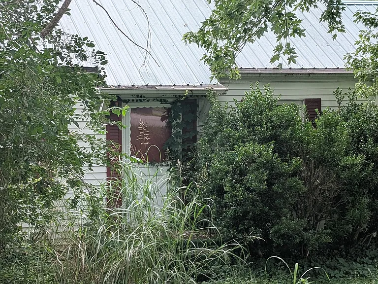 437 Linden Cir — Photo 10