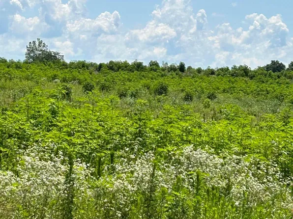 0 Shoemaker Rd Tract 1, Circleville, OH 43113