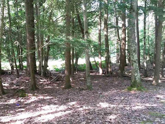 5th image of N Knollwood Dr