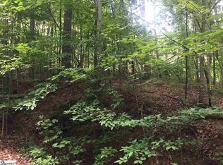 Packs Mountain Ridge Rd, Taylors, SC 29687