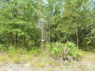 4626 Antelope St, Middleburg, FL 32068