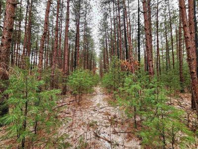 NHN Phylane Road, Lone Rock, WI, 53556