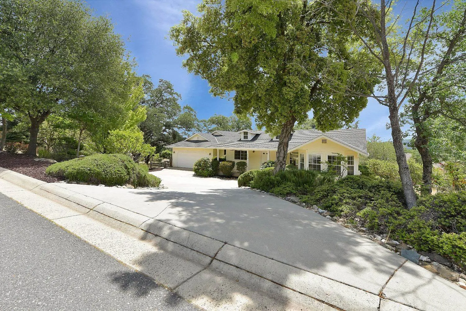 772 Live Oak Dr photo 1