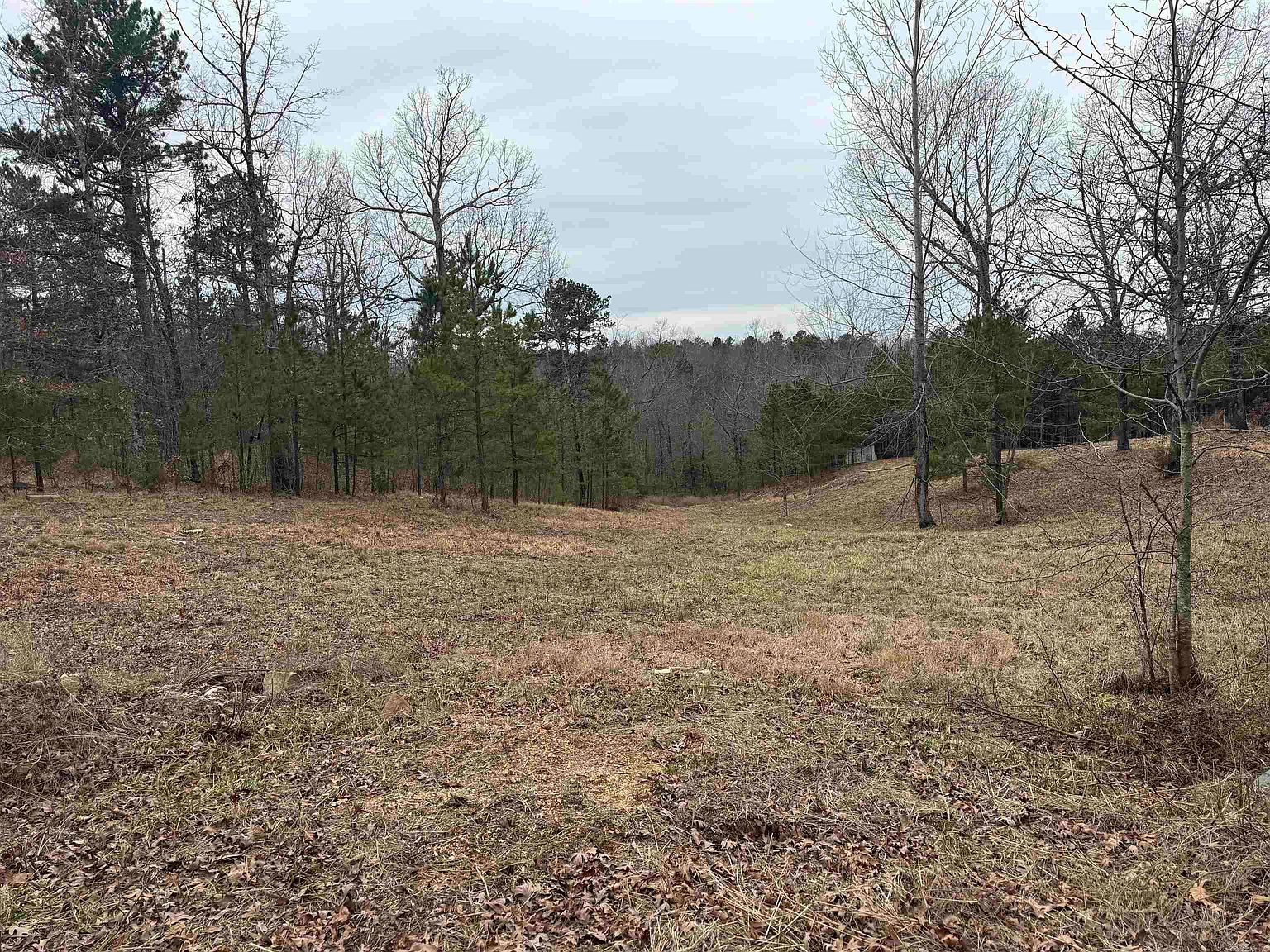 14 Gentry Rd, Dolph, AR 72528 MLS 24004429 Zillow