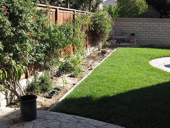 Nice grassy area for the pets! and children