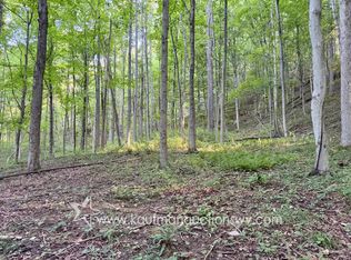 Shultz Rd, Saint Marys, WV 26170