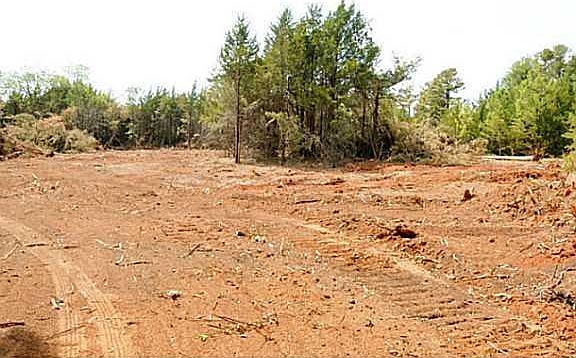 5th image of 5 Hiwassee & Wilshire Flt