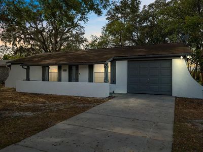 8255 Greenleaf Cir, Tampa, FL, 33615