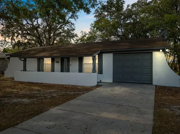 8255 Greenleaf Cir, Tampa, FL 33615