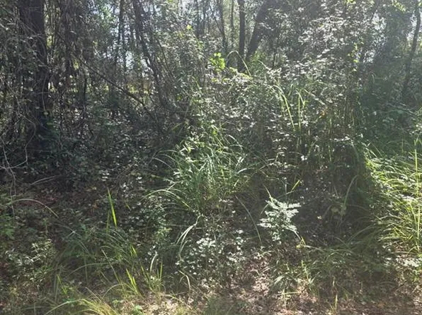 TBD SE 136TH LANE LOT 42, BELLEVIEW, FL 34420