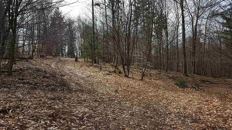 4th image of 0 MILLER Road