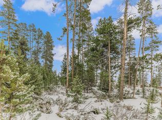 545 Gcr #469, Grand Lake, CO 80447