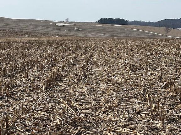 5th image of XXX Halama Road