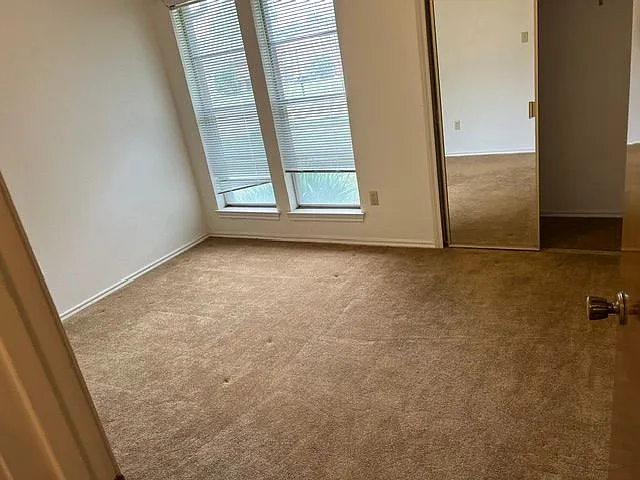 2807 Wildplum Dr — Photo 8