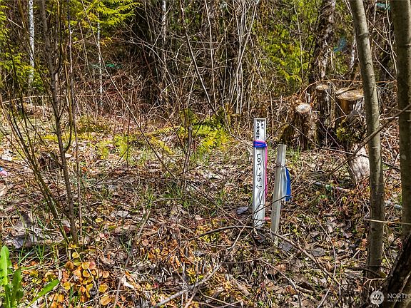 5th image of 17045 Iceberg Road