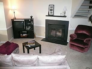 Den  (New Carpet)