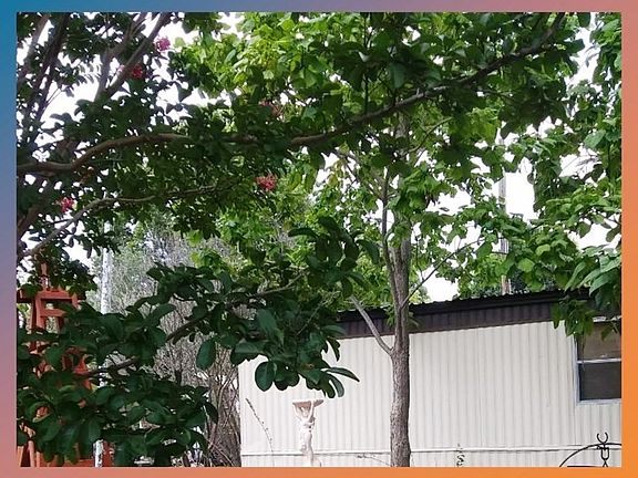 2nd image of 242 Cobb Ave