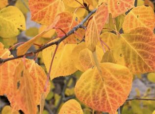 47 W Village Cir, Beaver, UT 84713