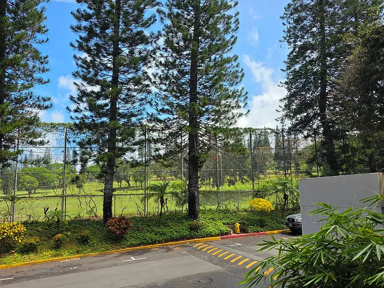 98-711 Iho Pl #3502 — Photo 20