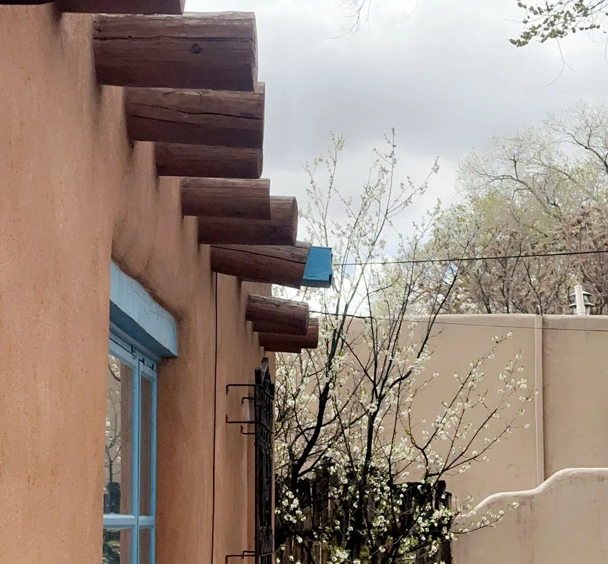 335 Delgado St — Photo 3