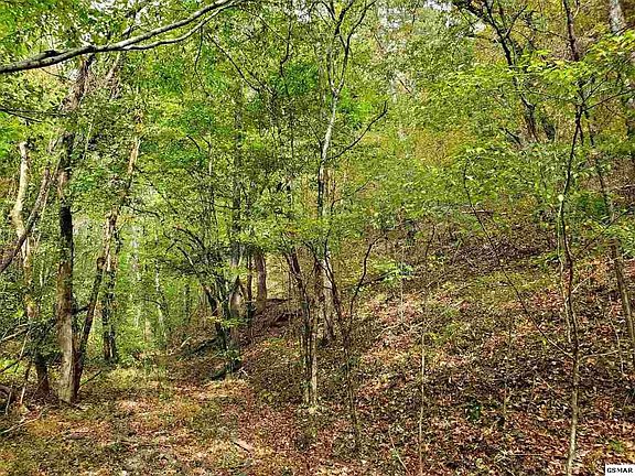 2nd image of 0 Shell Mountain Rd Lot 42