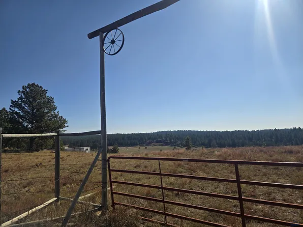 11815 W Argyle Rd, Custer, SD 57730