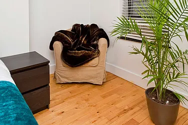 Rented by NOVO