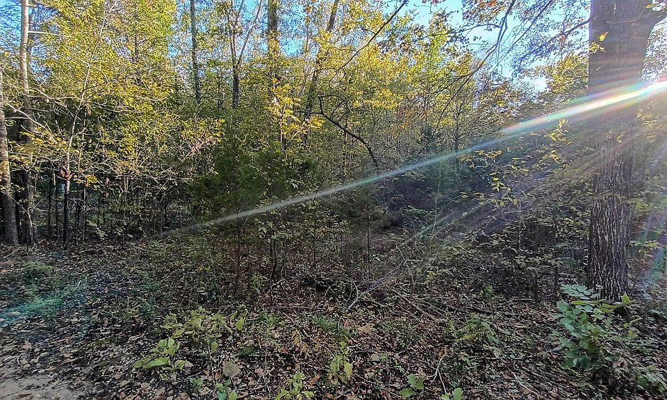 2nd image of 4 Deerwood Run