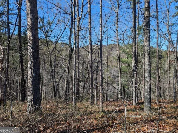 1400 Foxhound Trl NE, Ranger, GA 30734