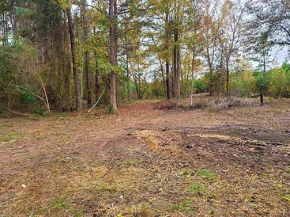 3rd image of 331 County Road 1134