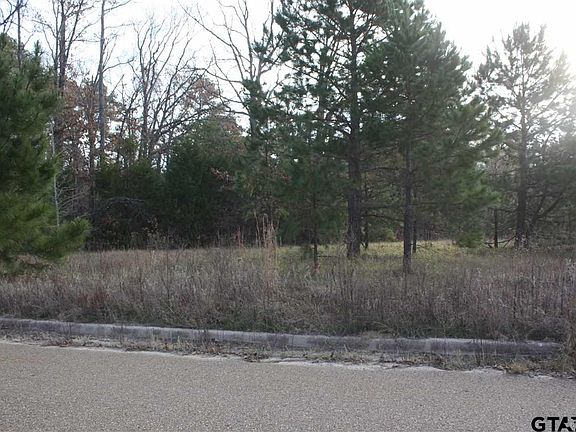 4th image of Armadillo Road Meadow Springs Subdivision Lot 18