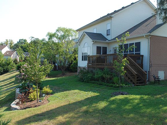 Backyard Garden/Wall