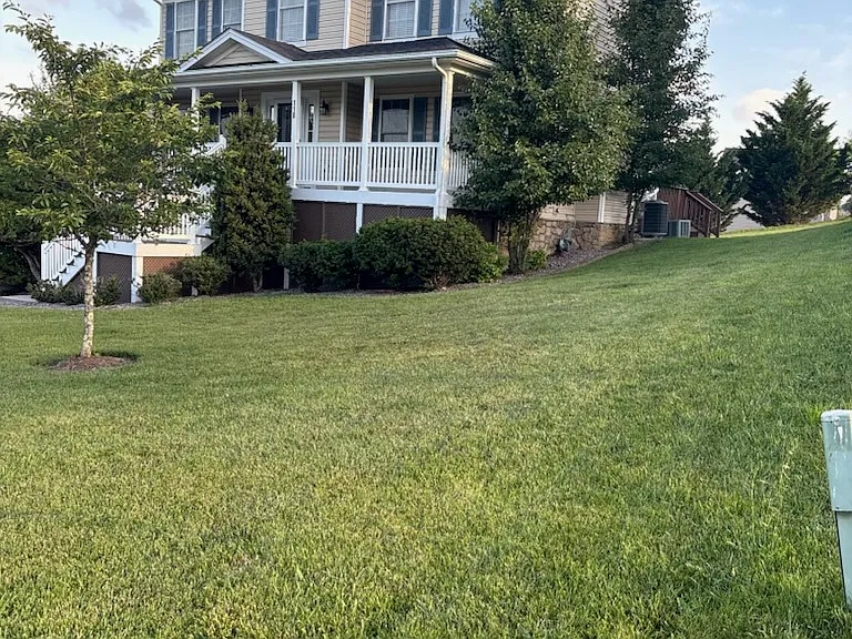front yard side view