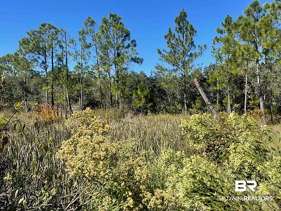 5th image of LOT 15 Palmetto Dr