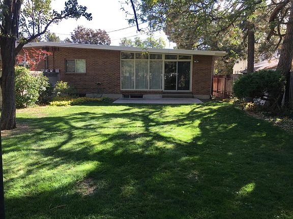 Backyard 1