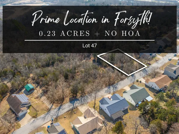 Lot 47 Eagle Drive, Forsyth, MO 65653