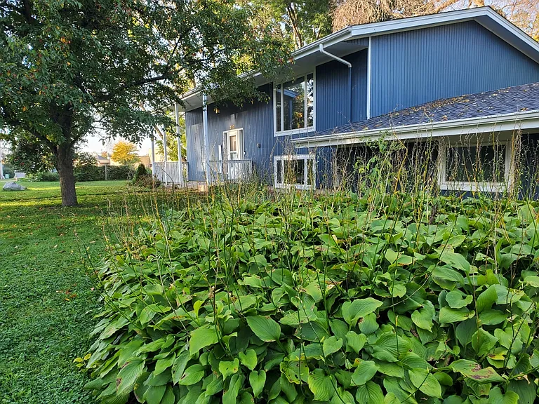 2117 Fern Ln — Photo 10