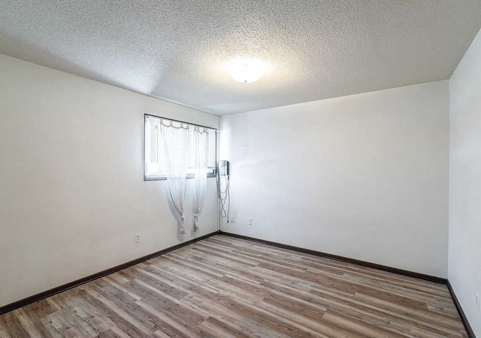 Plum Street Apartments — Photo 4