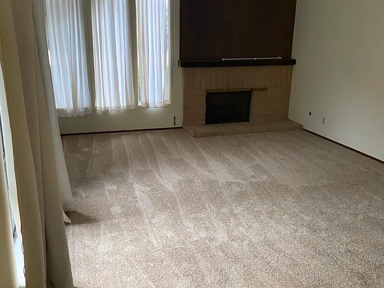10163 Riedel Pl — Photo 8