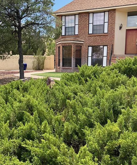 5142 La Subida St NW — Photo 1