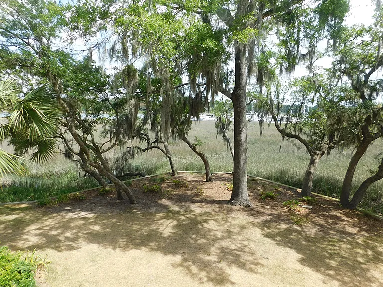70 Paddle Boat Ln #203C — Photo 4