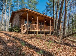 43 Jason Martin Cir, Cherry Log, GA 30522