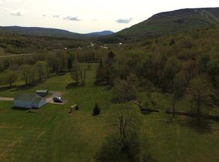 336 Deming Rd, Jewett, NY 12444