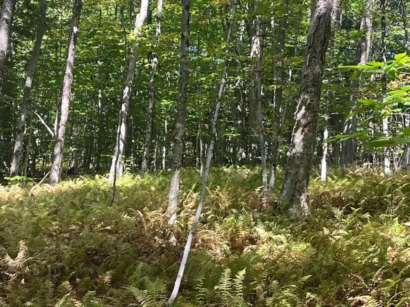 0 Central Shaft Rd, Florida, MA 01247