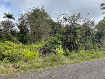 16-1265 Io Kea Rd, Mountain View, HI, 96771
