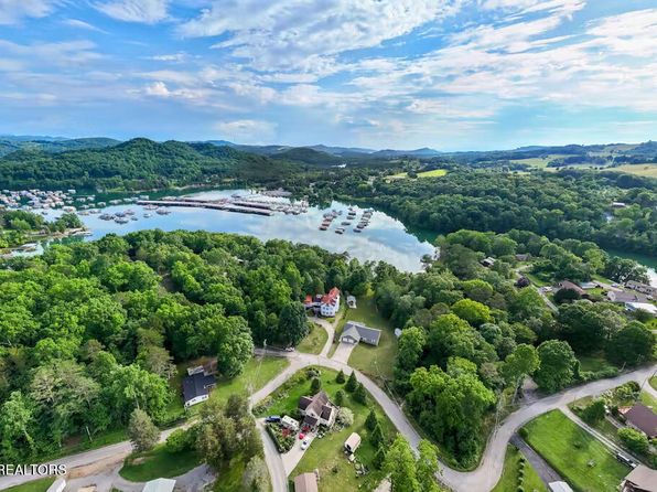 610 Cape Norris Rd, New Tazewell, TN 37825