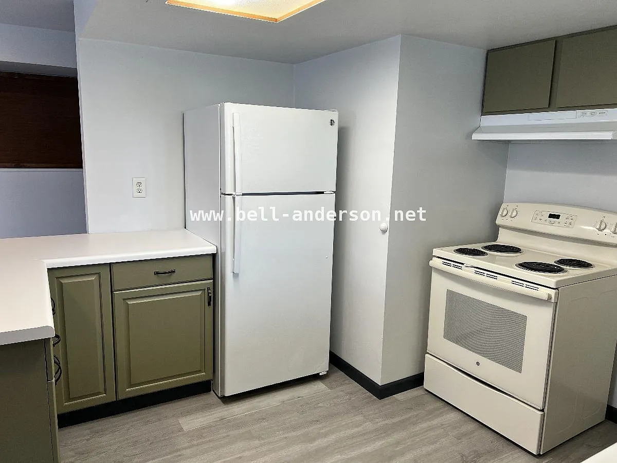 1 bed, 1.0 bath, 700 sqft, $1,695 — Photo 3