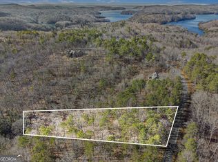 91 Doll Mountain Rd, Ellijay, GA 30540