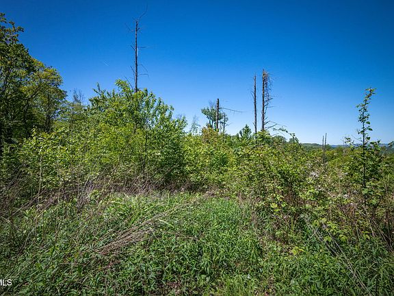 5th image of Walnut Mountain Rd