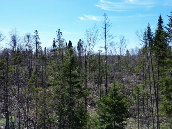 Lot 31C B Road Road, Houlton, ME 04730